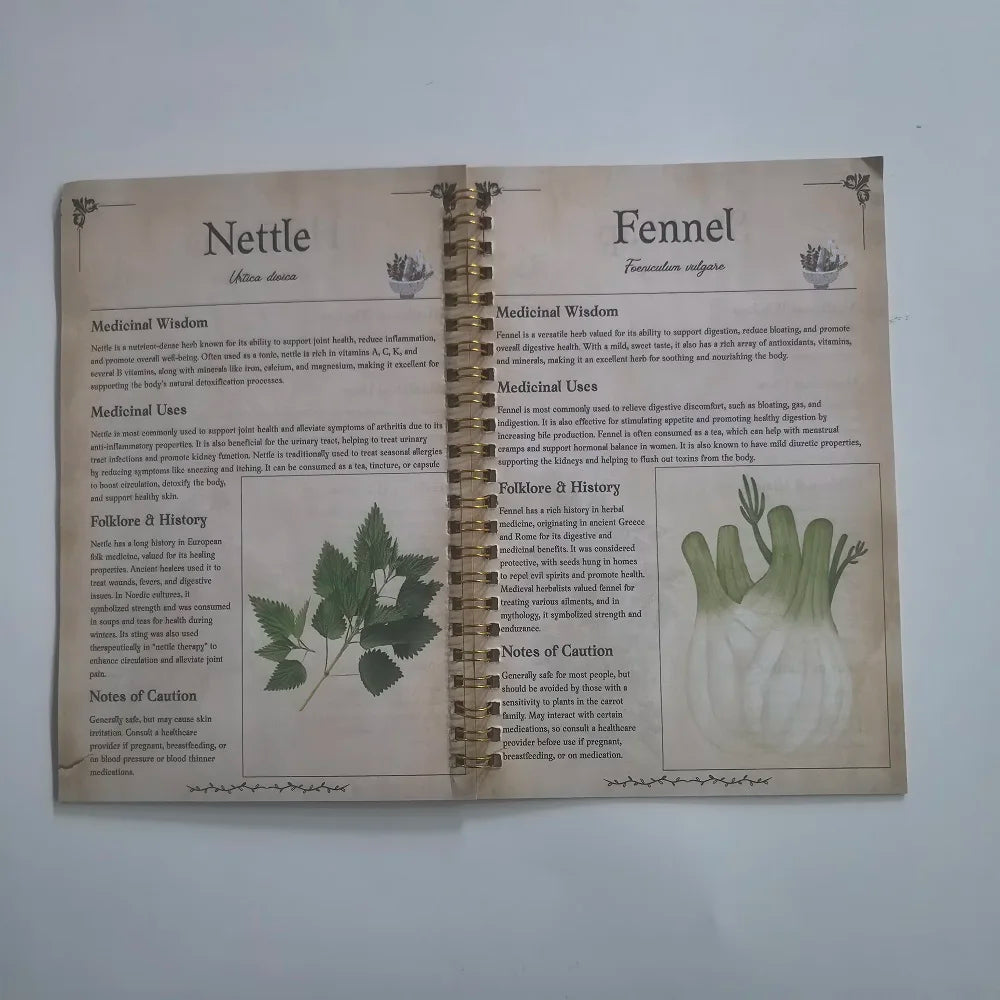 Tincture Recipes Book Apothecary Collection Natural Remedles Guide