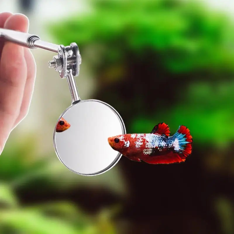Betta Fish Training Mirror | Extendable Stainless Steel Handle
