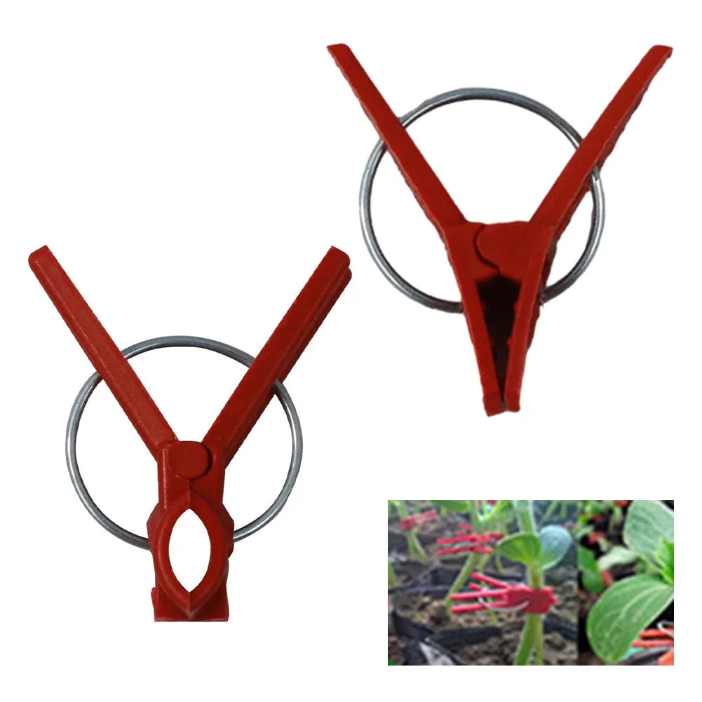 Plant Grafting Clip Plastic Premium Garden Tools Cucumber Eggplant