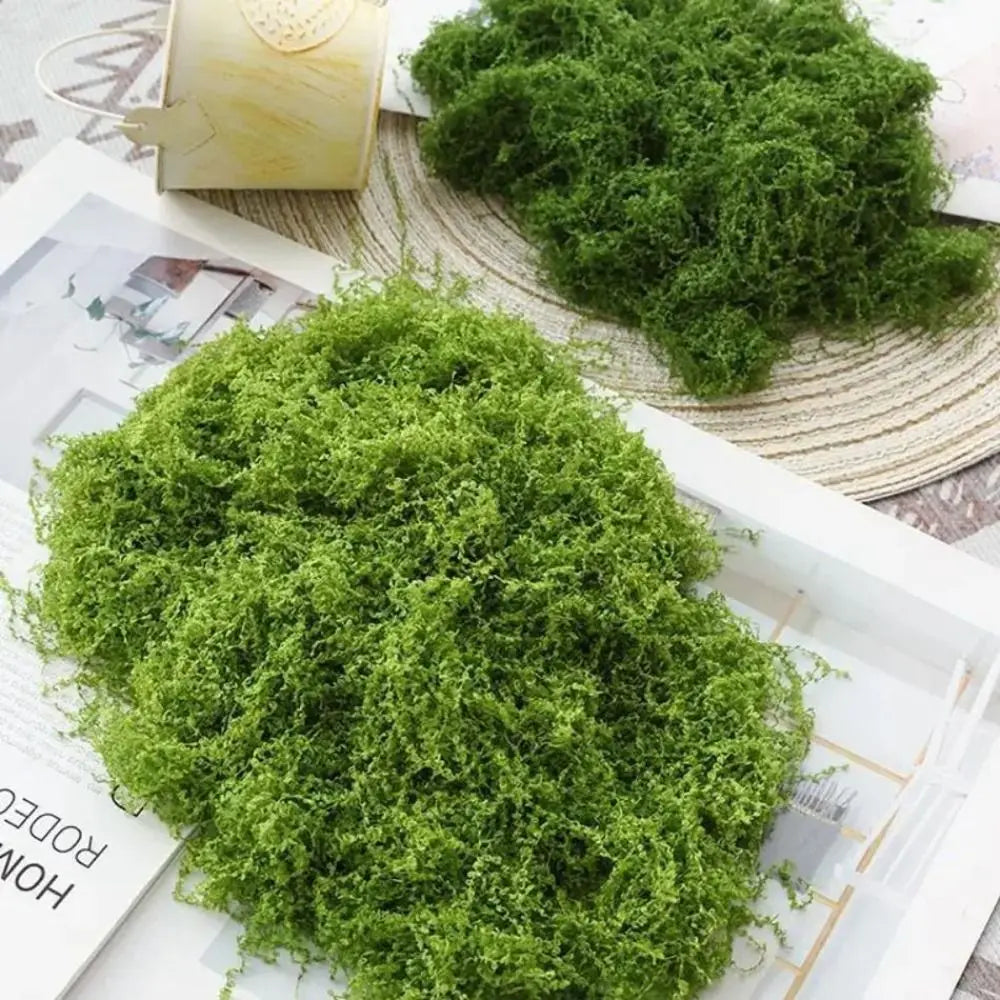 Artificial Filamentous Moss – DIY Miniature Landscape & Decor