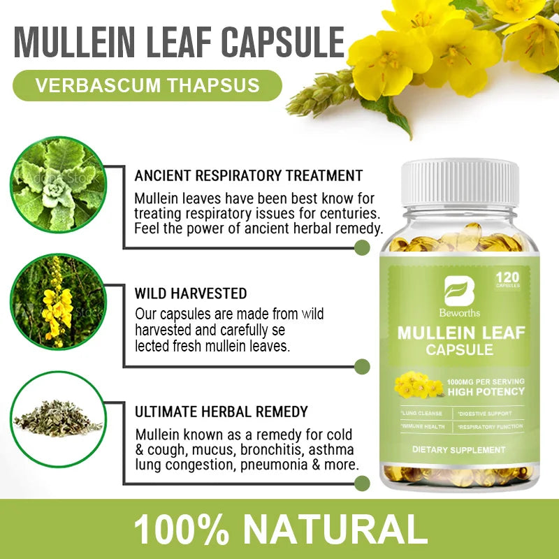 Mullein Leaf Capsules – Lung, Respiratory & Immune Support Peaceful Pleasures Health and Wellness