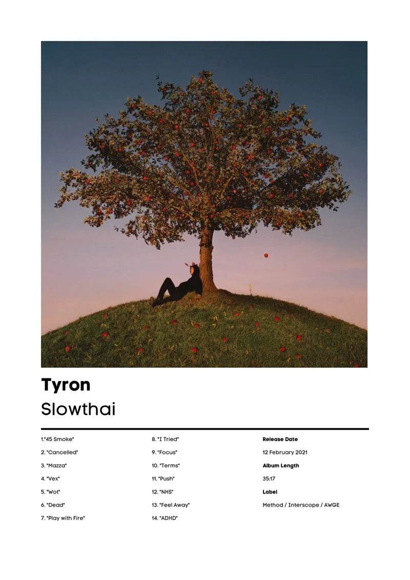 Music Album Cover Canvas Poster | Mac DeMarco, RHCP & More