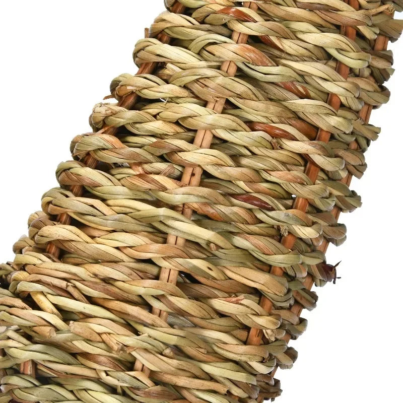 Natural Grass Chew Toy for Rabbits, Guinea Pigs & Hamsters