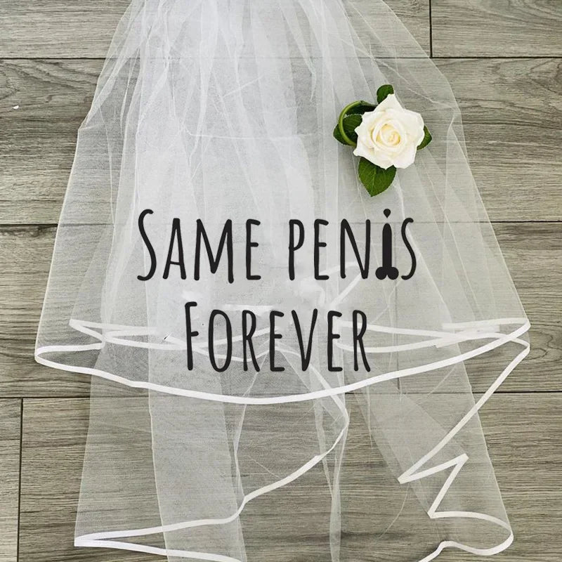 Bride to Be Sash & Veil | Bachelorette Hen Night Party Set Bridal Party Accessory Peaceful Pleasures Health and Wellness veil