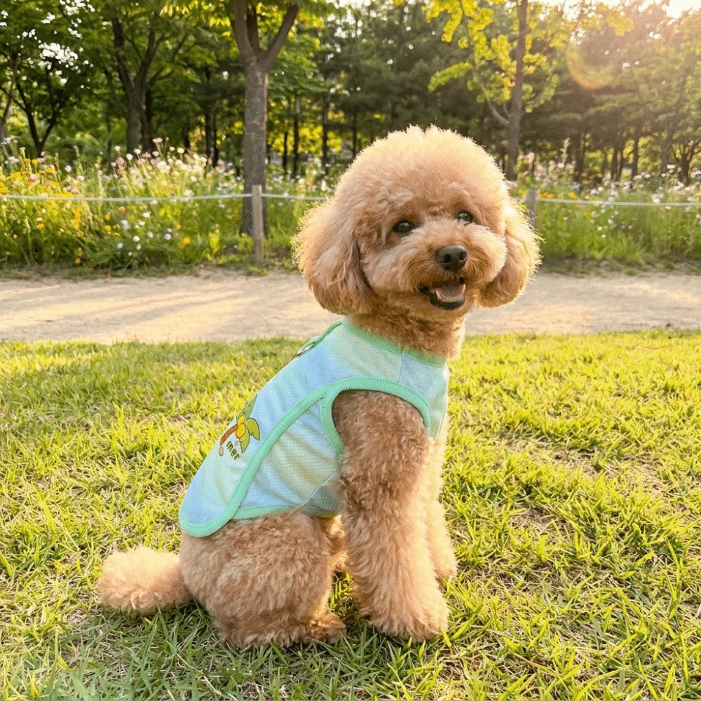Striped Mesh Dog Cooling Vest | Ice Silk Bear Pattern T-Shirt