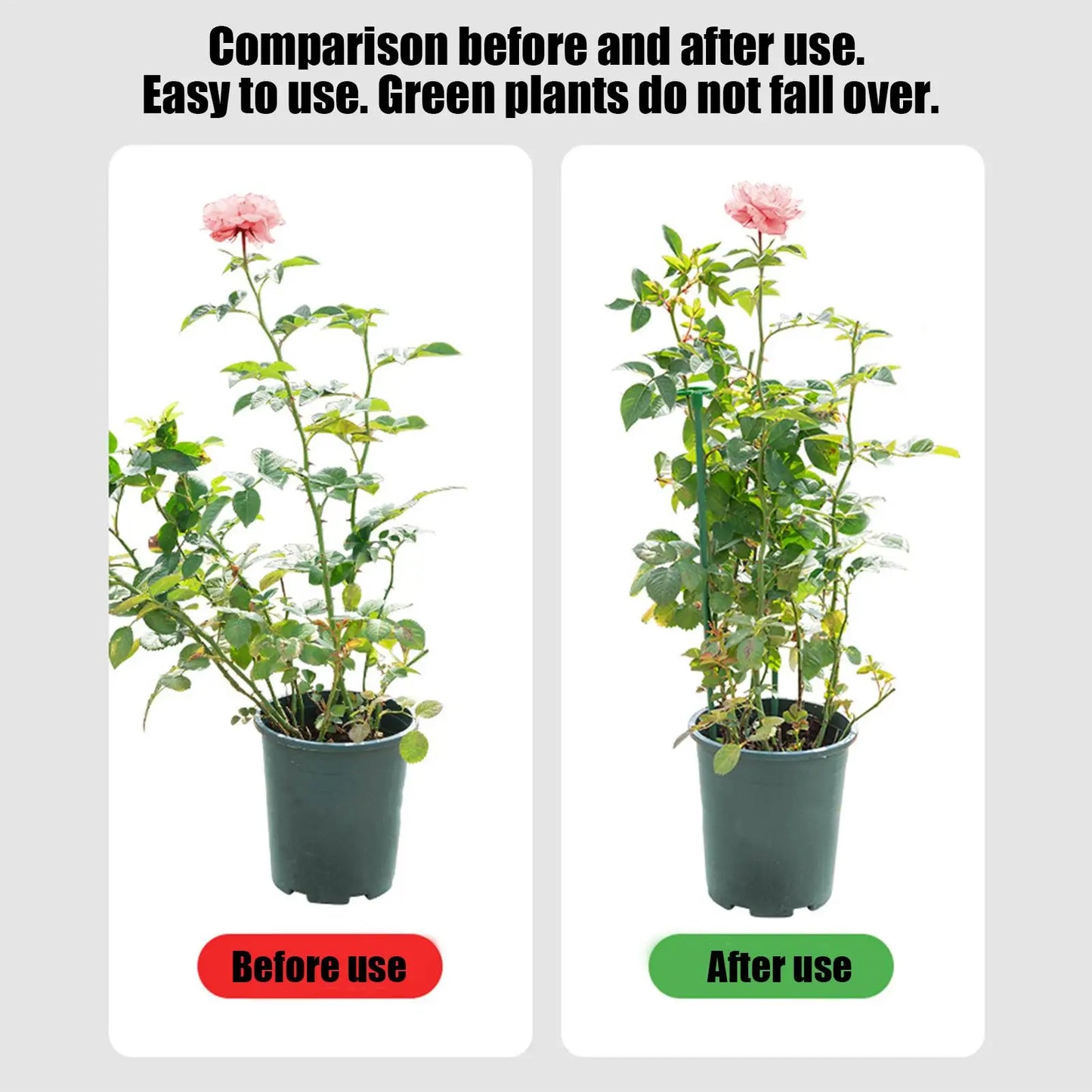Reusable Ring Plant Stakes | Indoor & Outdoor Flower Support
