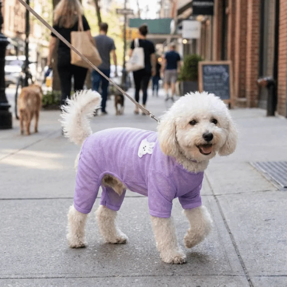 Mesh Dog Sun Vest – Breathable Summer Jacket with D-Ring