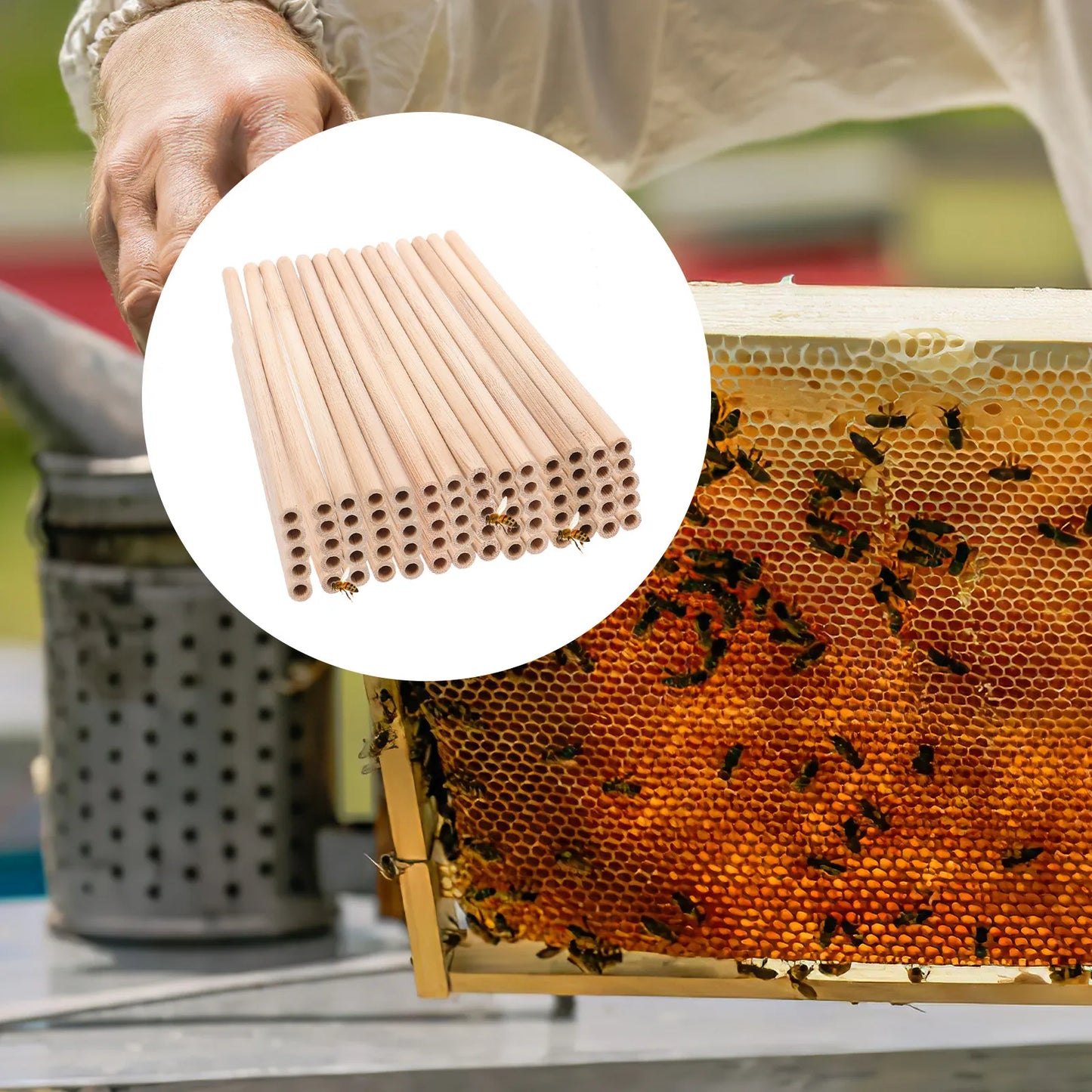 50Pcs Eco Friendly Bamboo Bee Tubes Simple Stable Structure Nesting Tube Inserts for DIY Beehive Bee Houses Beekeeping Supplies Peaceful Pleasures Health and Wellness
