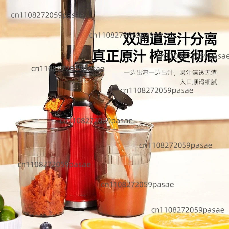 Mini Cold Press Slow Juicer with Pulp Separator | Oasis Select