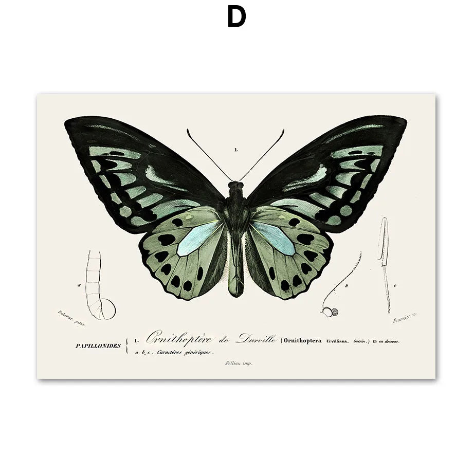 Sage Green Matisse Abstract Canvas Wall Art | Nordic Print