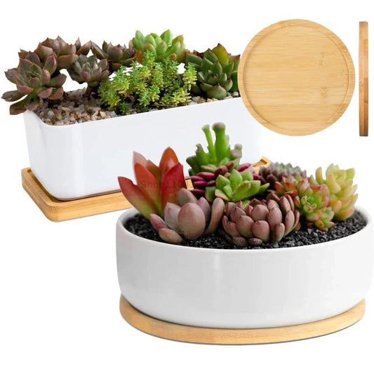 Bamboo Storage Trays – Bathroom, Kitchen & Organizer Set Bamboo Storage Tray Oasis Select