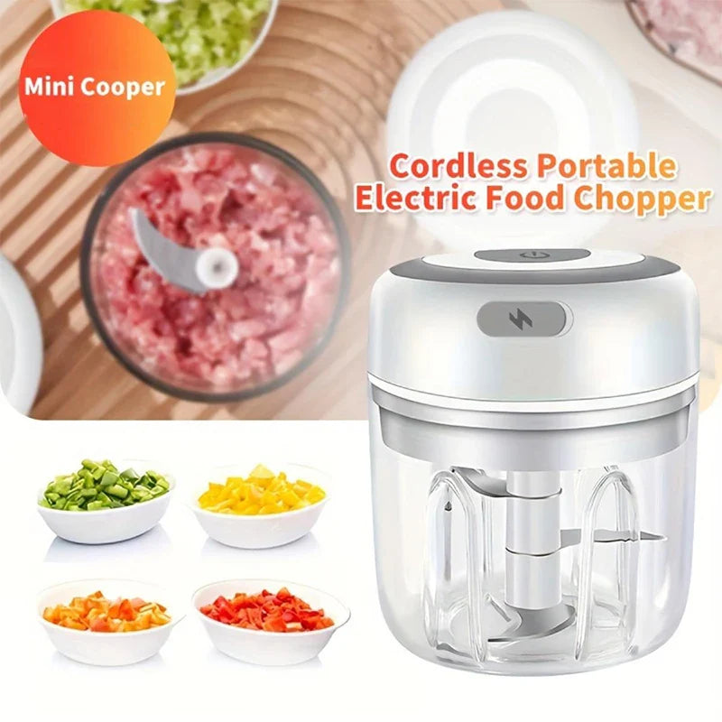 Mini Electric Garlic Chopper USB Rechargeable 100/250ml