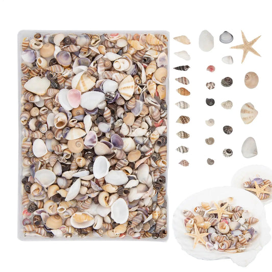 Mini Seashells & Starfish Mixed Tiny Shells For DIY Crafts, Hobbyists Kids Adults Art Teachers, Aquarium Fish Tank Decor Peaceful Pleasures Health and Wellness