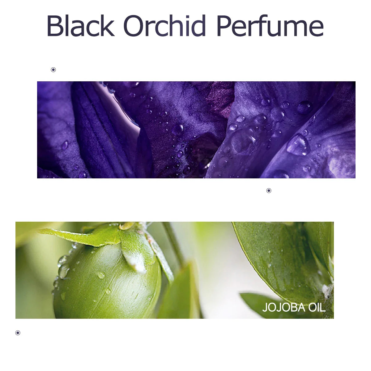 Black Orchid Essential Oil – Massage, Hair & Skin Care