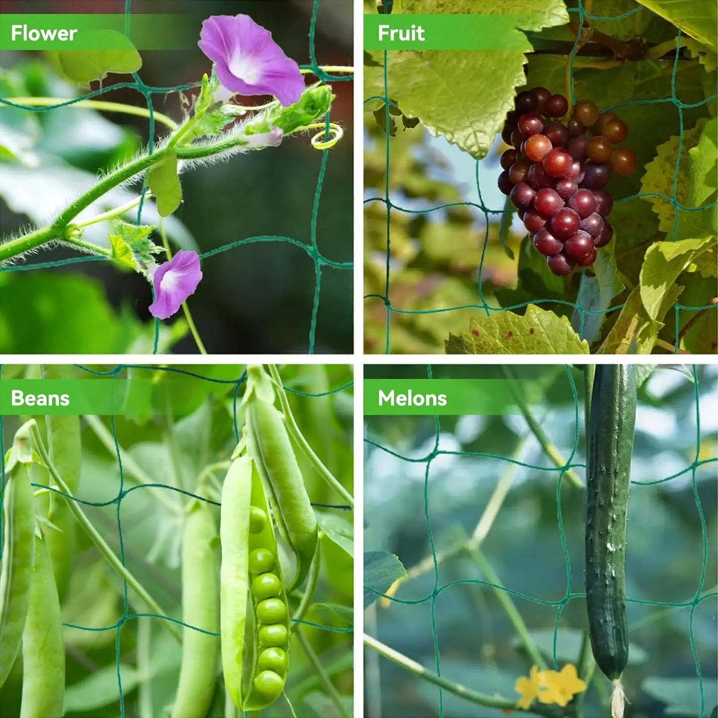 Garden Plant Climbing Net | Trellis Netting for Tomatoes & Vines