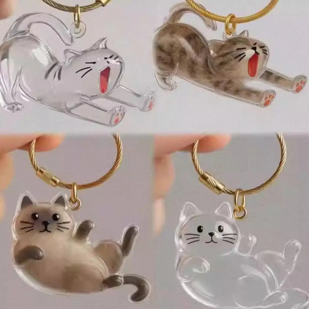 Cat Hair Storage Keychain | Transparent Acrylic Capsule Pendant