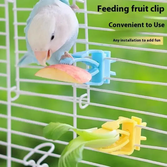 Bird Cage Food Clip Holder – Parrot Fruit & Veggie Feeder 2/4 Pack Bird Cage Feeder Clip Oasis Select