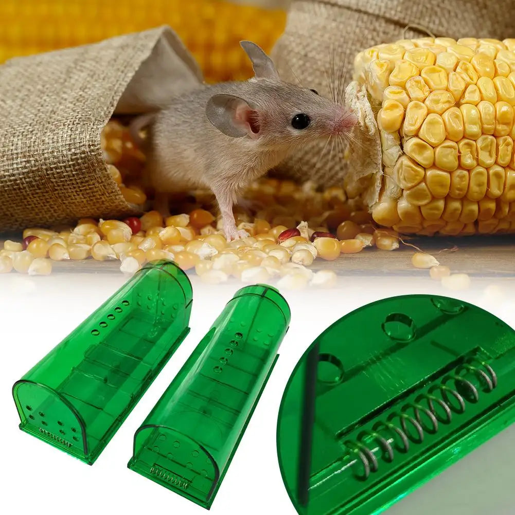 Pet Friendly Mouse Trap for Safe Home and Garage Use Peaceful Pleasures Health and Wellness