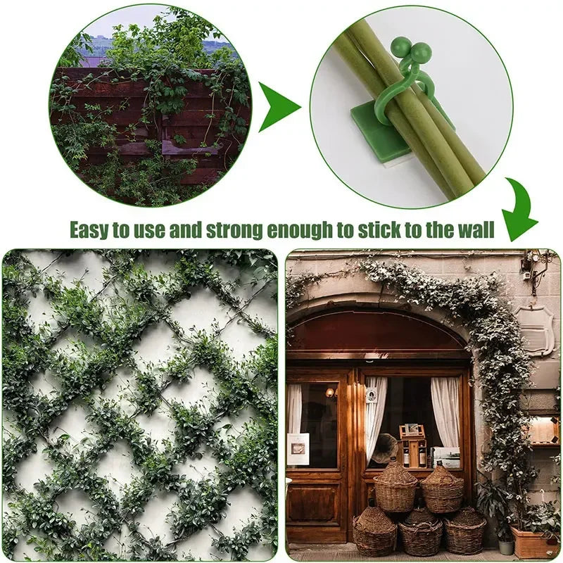 1/30/50Pcs For Garden Accsesories Plant Garden Pots & Planters Climbing Wall Outdoor Decors Lamp Support for Plants Clip Vine Peaceful Pleasures Health and Wellness