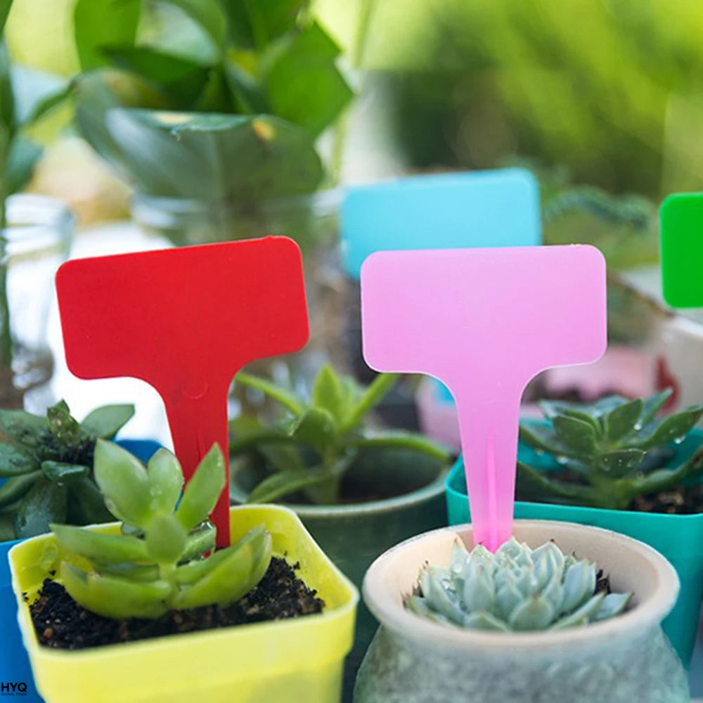 Tiquettes De Jardin Blanches 100 Pi Ces En Plastique Tanche