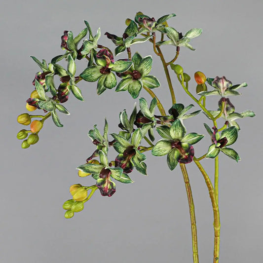 Artificial Phalaenopsis Orchid Branch | 2 Fork Real Touch 60cm Artificial Flower Branch Oasis Select