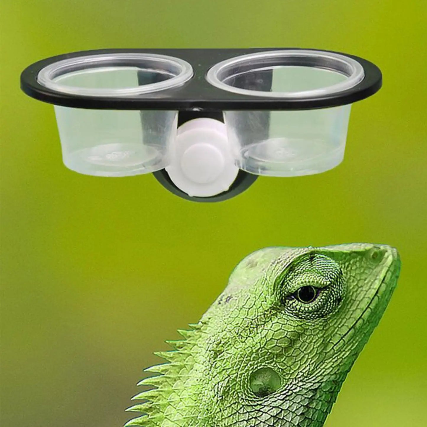 Reptile Feeding Dish & 4-Cup Dispenser Tray | Gecko, Lizard & More