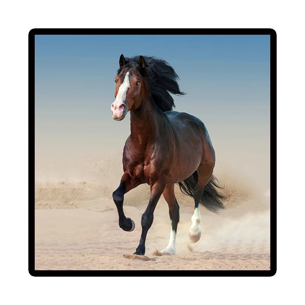Nordic Horse Canvas Wall Art | Modern Unframed Poster Print