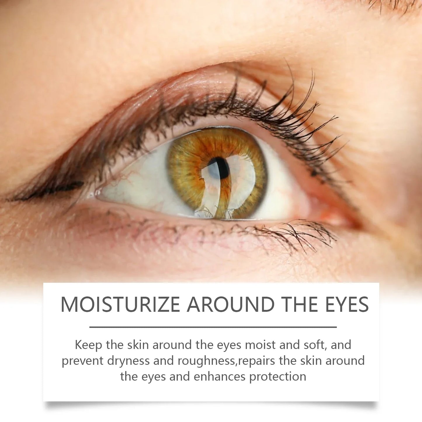 Hoygi Bee Venom Eye Cream – Anti-Aging, Dark Circles 20g