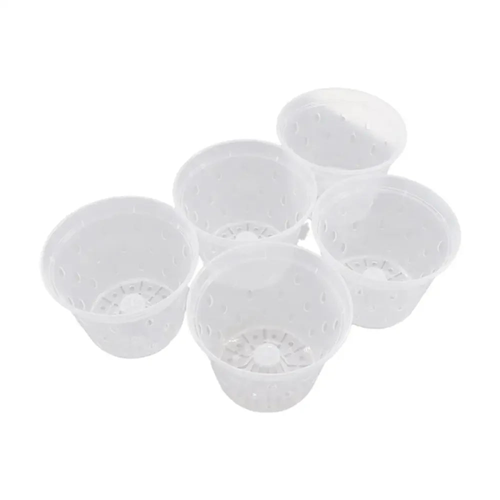 Transparent Orchid Pot with Drainage Holes & Tray | Phalaenopsis