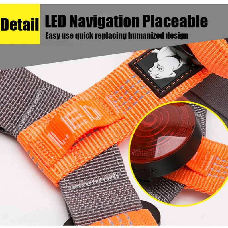 Truelove Pet Harness Adjustable Reflective Nylon with Collar Leash LED Light Neoprene Padded Hiking Running TLH6171 Dropshipping Peaceful Pleasures Health and Wellness