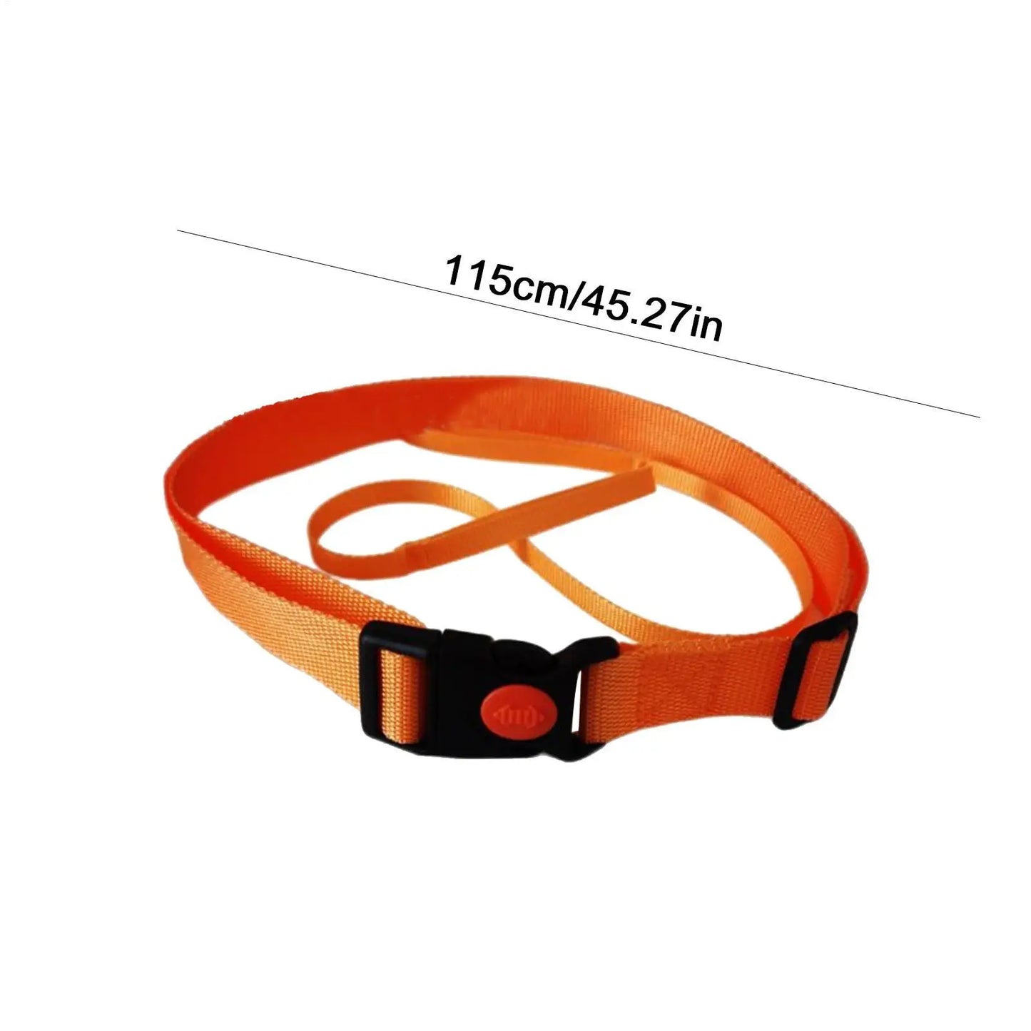 Swim Training Belt & Tether Cord – Pool Resistance Strap