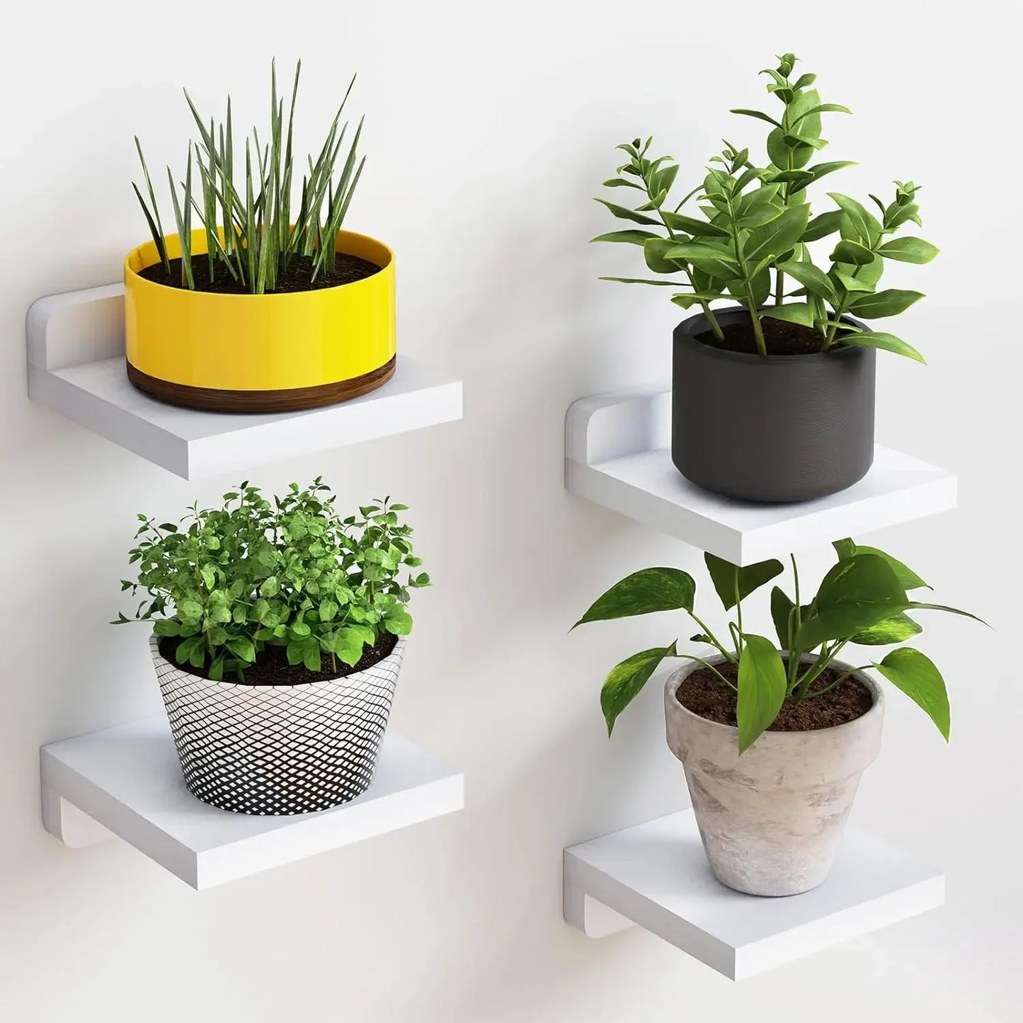 4-Pack Small Floating Wood Shelves – 5" Mini Wall Display Ledges