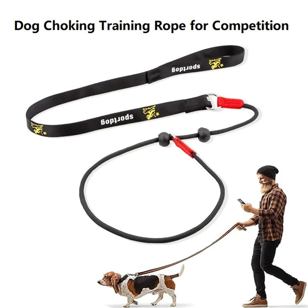 2-in-1 Slip Lead Dog Training Leash & Collar – 150cm Nylon