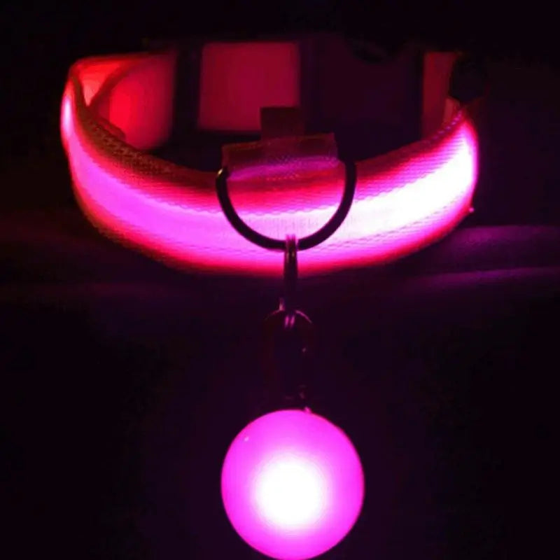 LED Light-Up Dog Collar – Glowing Safety Collar for Night Walks