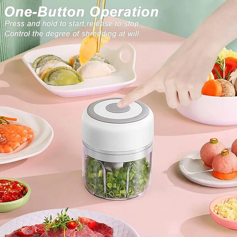 USB Electric Mini Food Chopper – Garlic Masher 100/250ml
