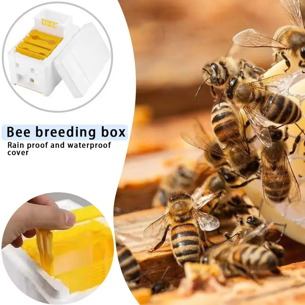 Beehive Frame Holder & Beekeeping Starter Kit – Cedar & Foam Box Peaceful Pleasures Health and Wellness United States