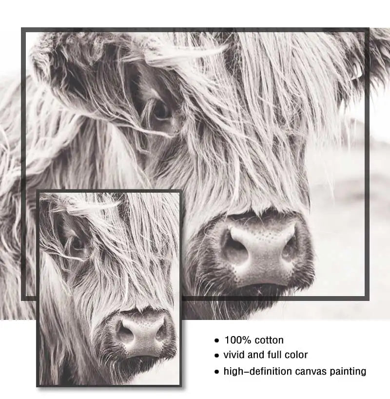 Scottish Highland Cattle Canvas Wall Art | Modern Animal Print