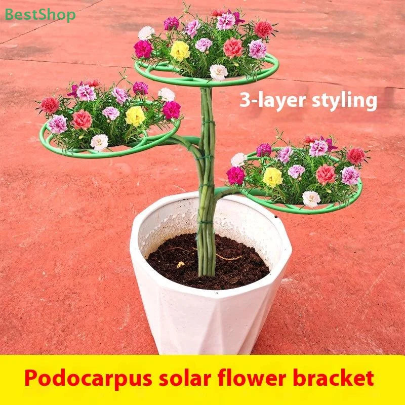 Plant Support Trellis Frame – Multi-Layer for Climbing Plants