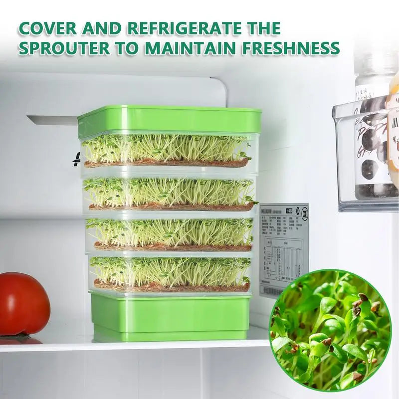 Seed Sprouter Tray With Cover Sprout Dish Growing Pot Sprout Dish Growing Pot Vegetables Plants Germination Nursery Tray Peaceful Pleasures Health and Wellness