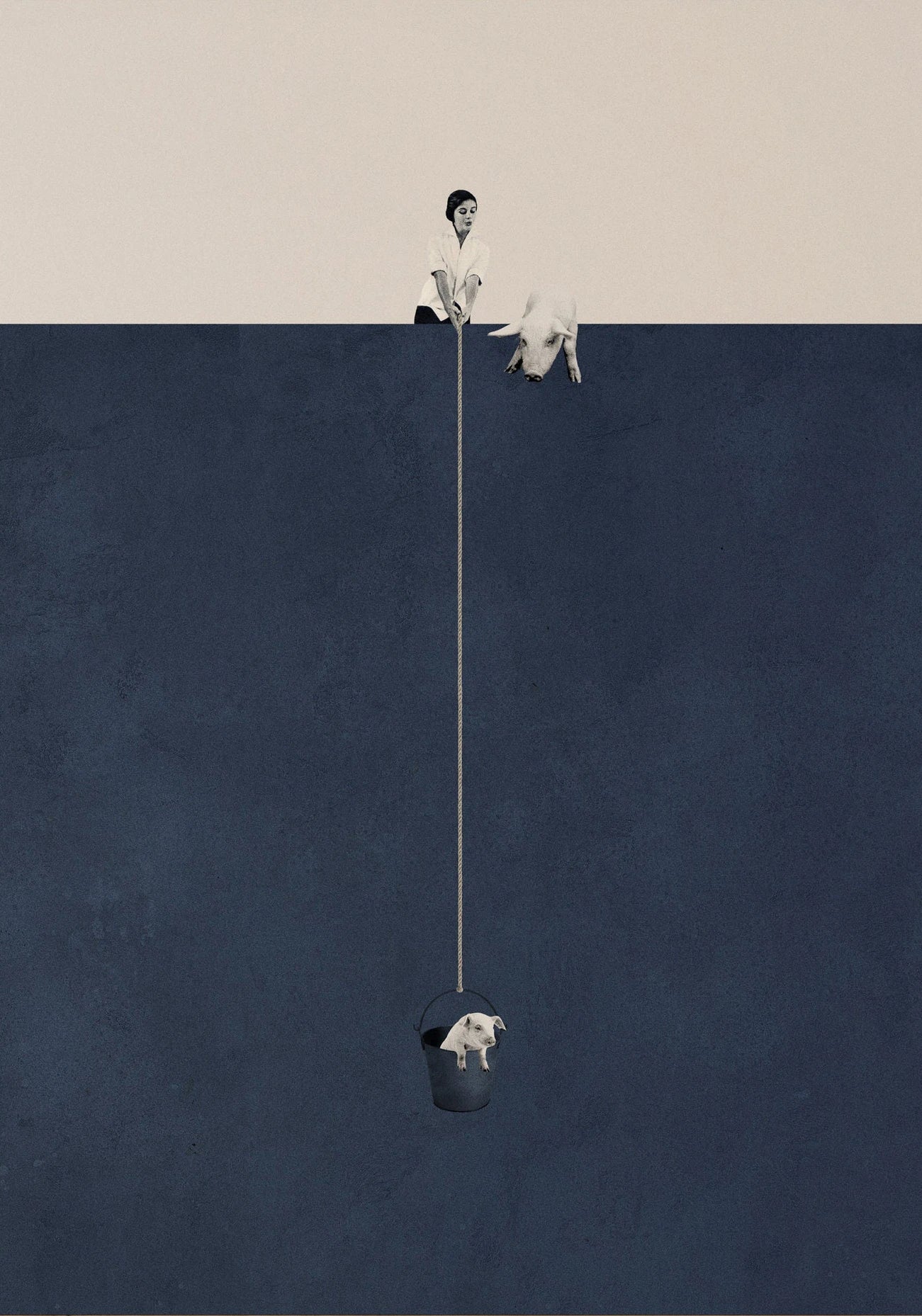 Funny Surfing Pig Minimalist Canvas Wall Art Print | Home Decor