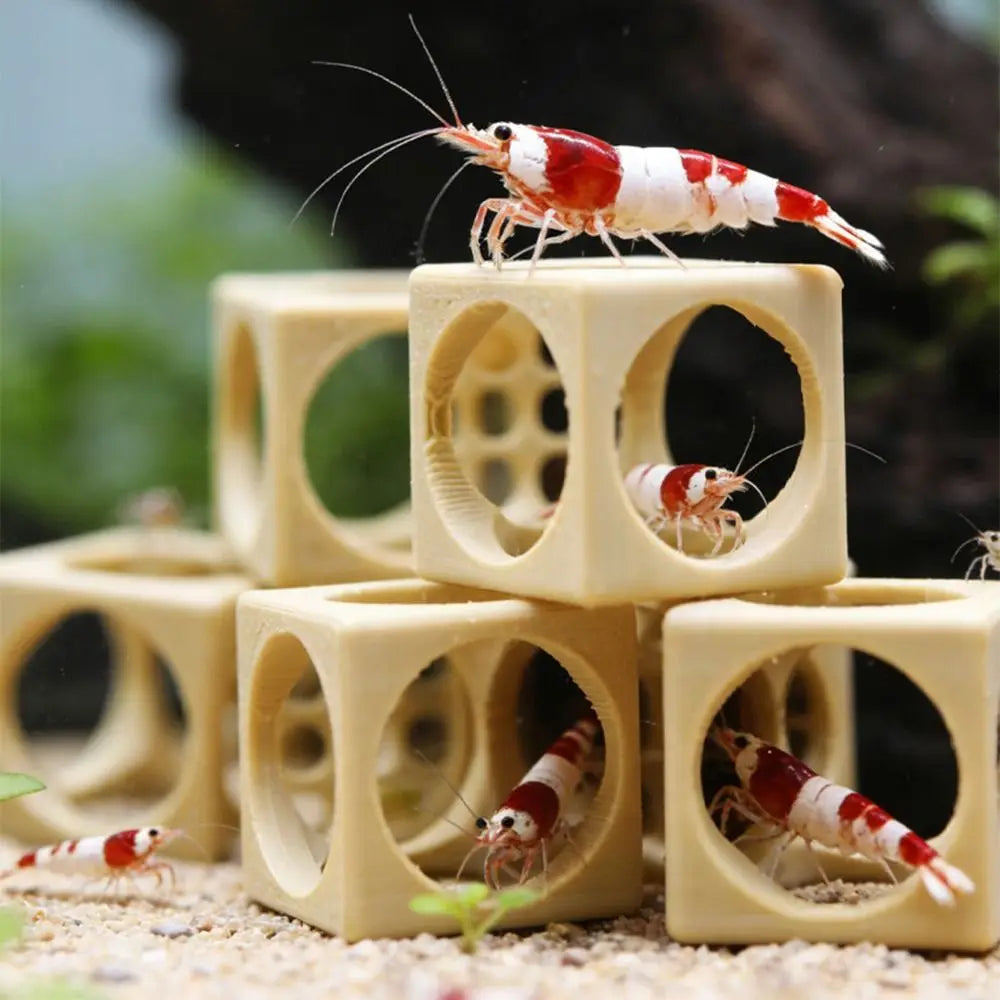3D Printed Shrimp Hideout | Fish Tank Cave Decoration