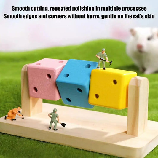 Hamster Fitness Cube Multi Activity Toy for Sports Peaceful Pleasures Health and Wellness