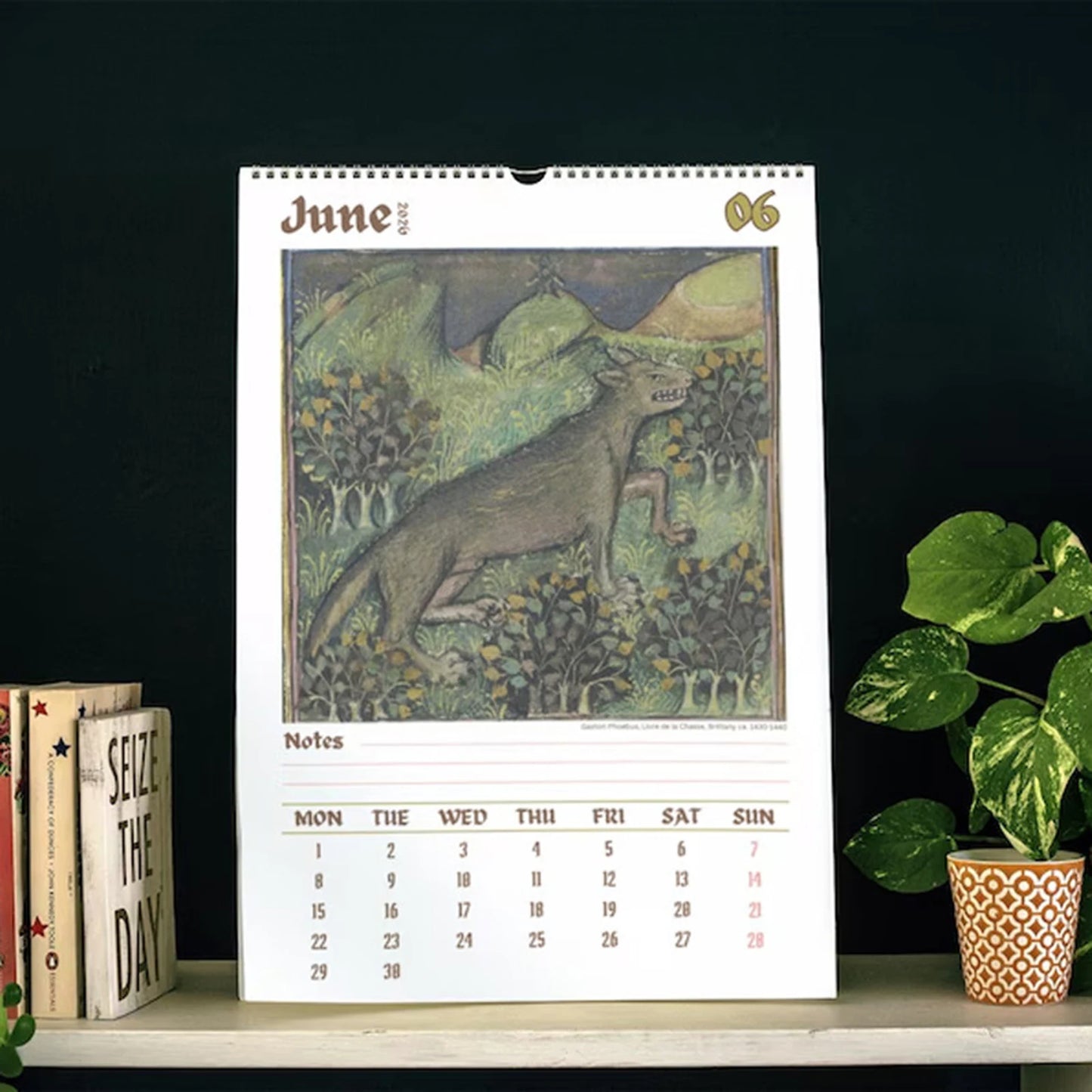 2026 Wall Calendar with Medieval Animal Theme Ugly Style Humorous Illustration Design for Office Home Decor and Gift Use Peaceful Pleasures Health and Wellness
