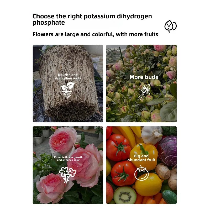 Potassium Dihydrogen Phosphate Flower Fertilizer Water-soluble Fertilizer Specialized Foliar Agricultural Potted Plant Peaceful Pleasures Health and Wellness