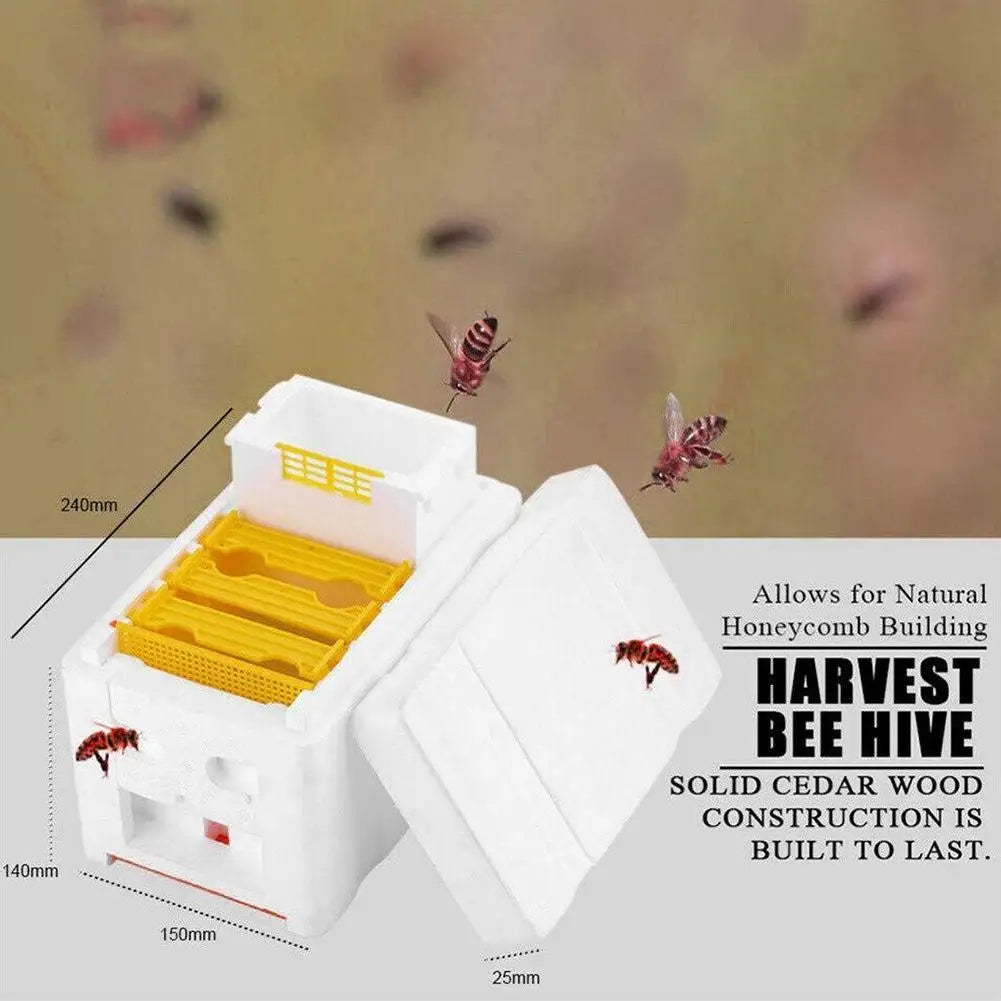 Foam Queen Rearing Mating Nuc Box – Beekeeping Supplies