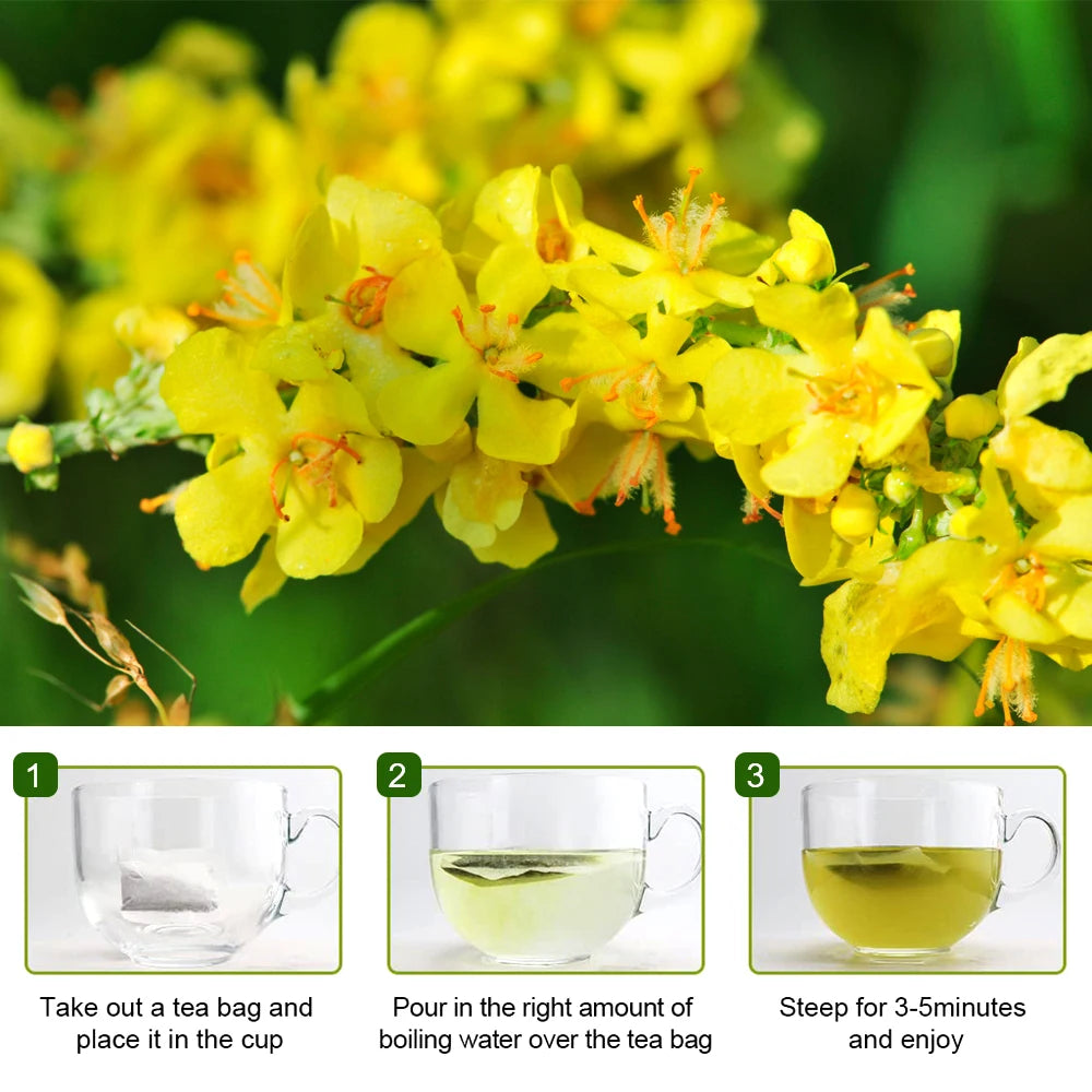 Mullein Leaf Herbal Tea – Lung Cleanse & Respiratory Support Peaceful Pleasures Health and Wellness