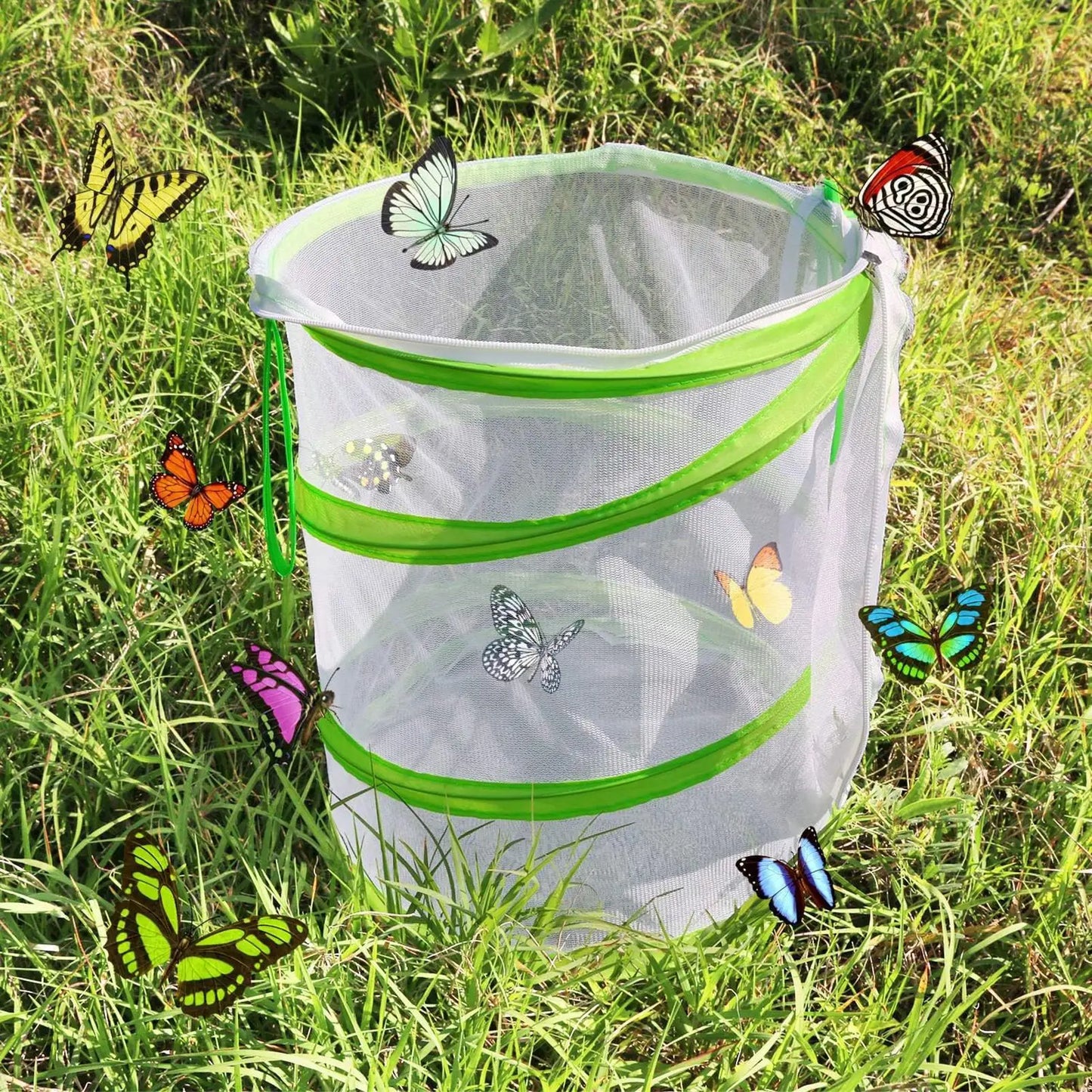 Foldable Butterfly & Caterpillar Mesh Habitat Cage | Insect Net