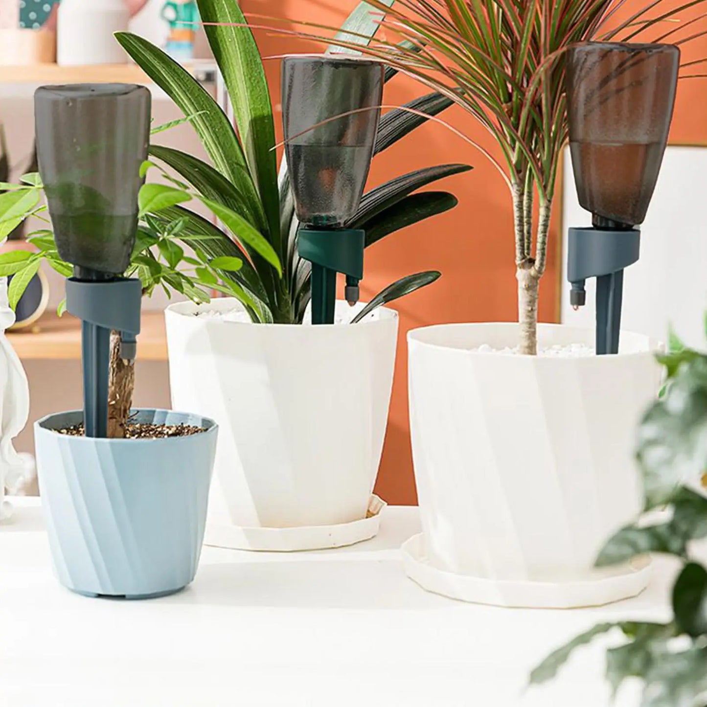 6-Pack Self Watering Spikes | Auto Drip Irrigation System