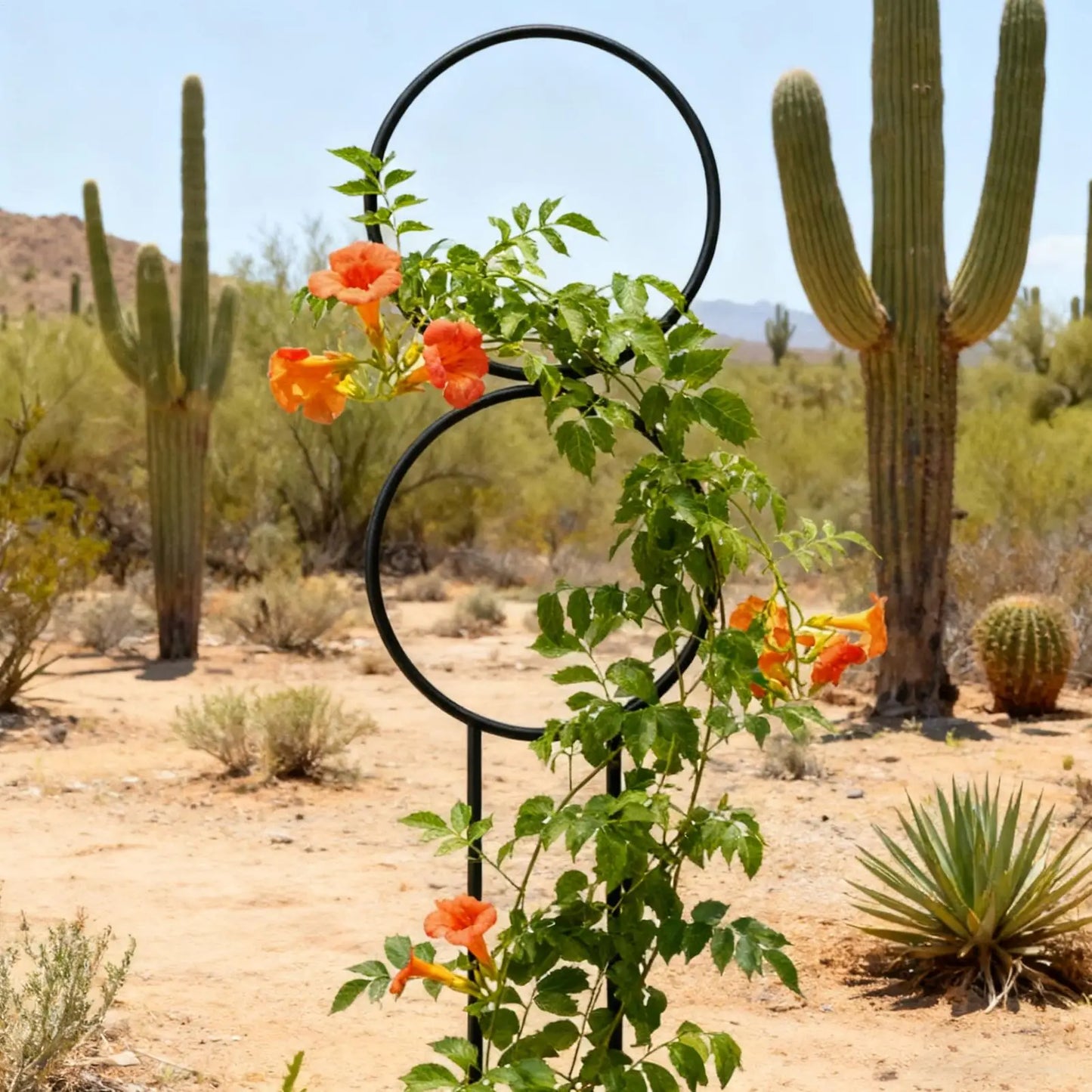 Metal Plant Trellis – Weather-Resistant Indoor & Outdoor Garden Stake