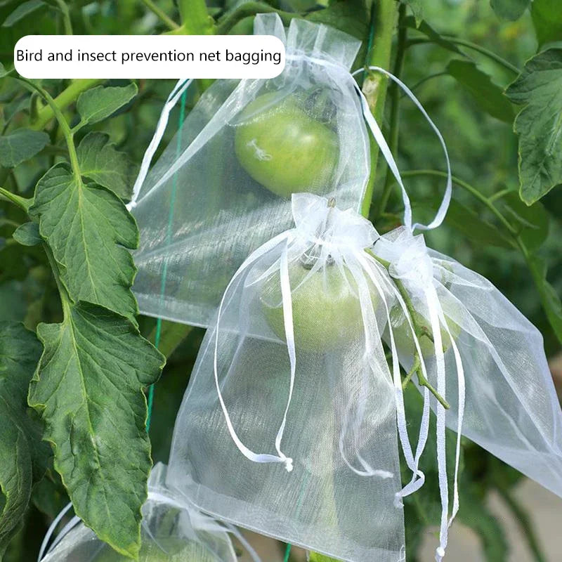 Grape and Fruit Protection Netting Bags, 50pcs, Anti-Bird Garden Tools, Agricultural Pest Control Bag Peaceful Pleasures Health and Wellness